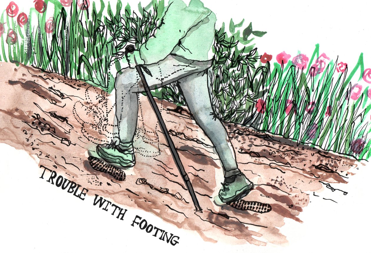 Parkinsonovy ilustrace, 2019 (tuš a akvarel) od Charlotte Orr