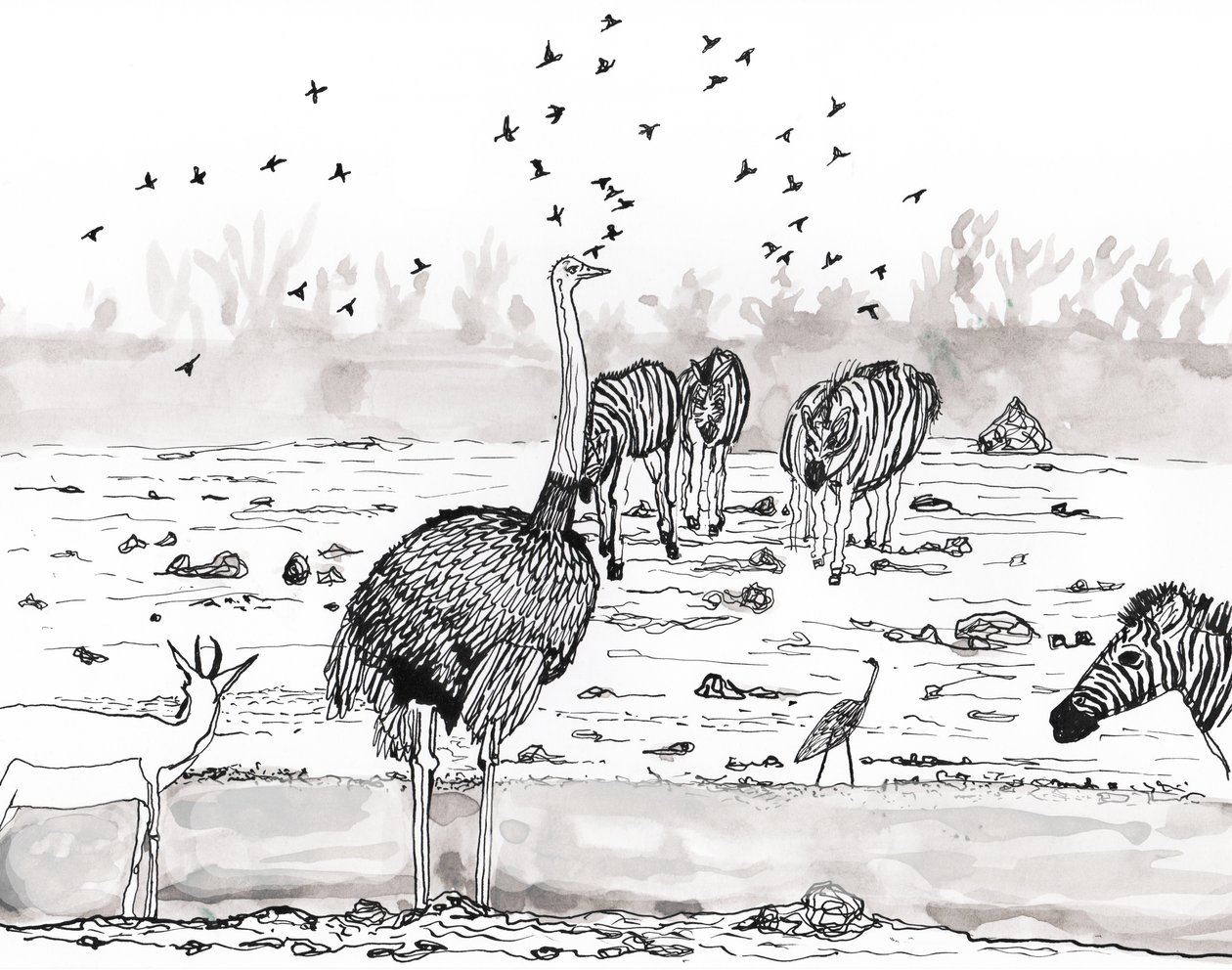 Safari 2, 2018 (tuš a akvarel) od Charlotte Orr