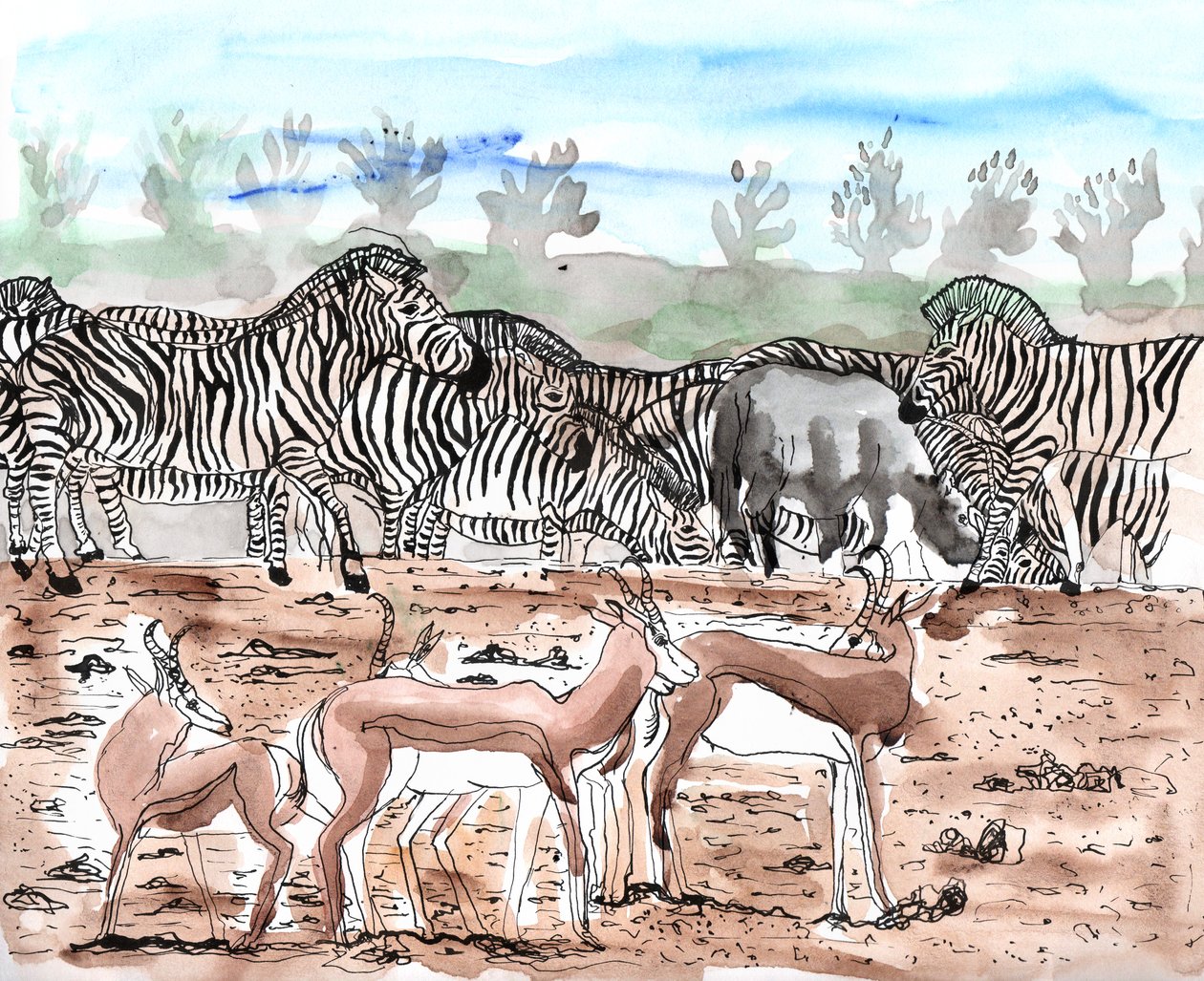 Safari 3, 2018 (inkoust a akvarel) od Charlotte Orr