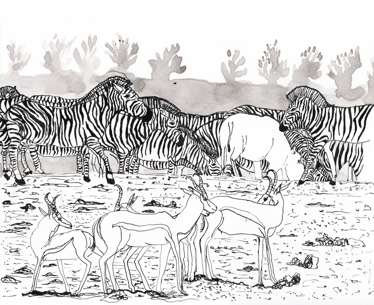 Safari 3, 2018 (inkoust a akvarel) od Charlotte Orr