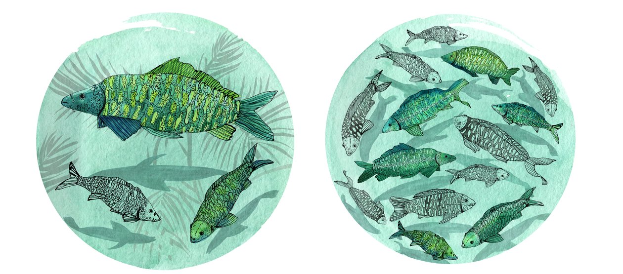Small Fish Big Pond, 2018 (pero a inkoust, akvarel a digitální) od Charlotte Orr