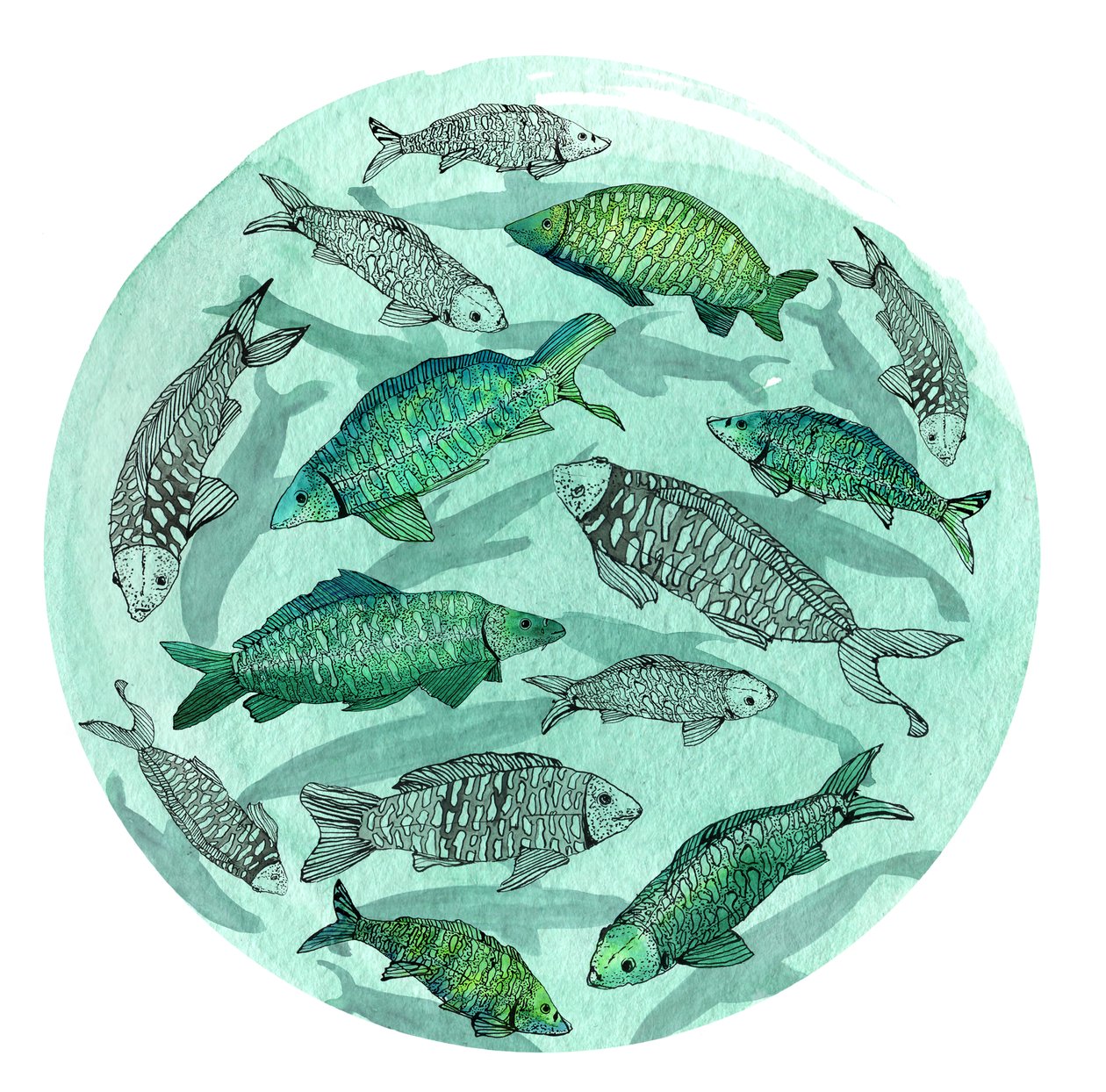 Small Fish Big Pond, 2018 (pero a inkoust, akvarel a digitální) od Charlotte Orr