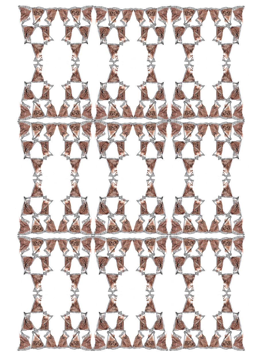 Design balení čaje, 2018 (inkoust a akvarel) od Charlotte Orr