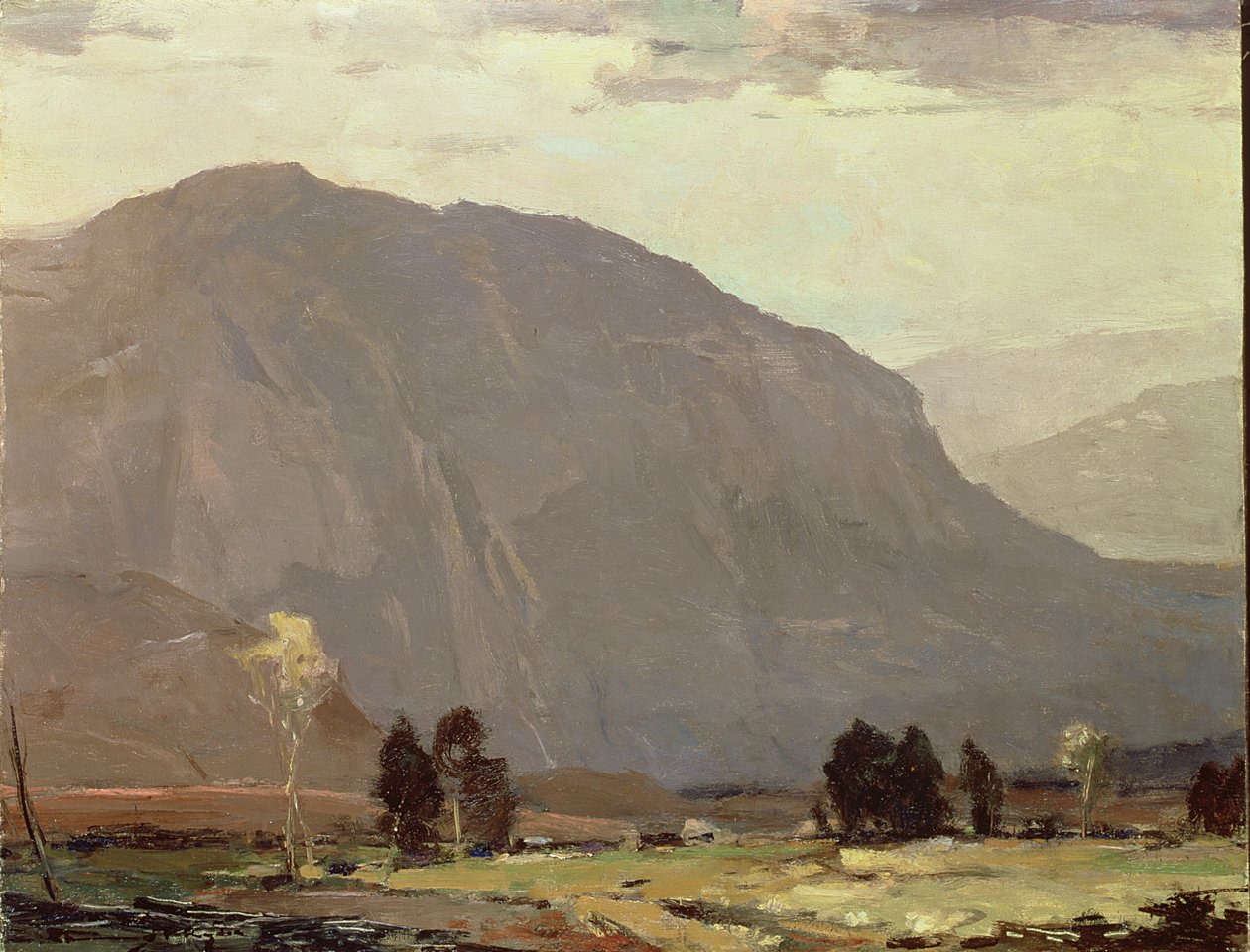 Bald Mountain, Tennessee (olej na plátně) od Chauncey Foster Ryder