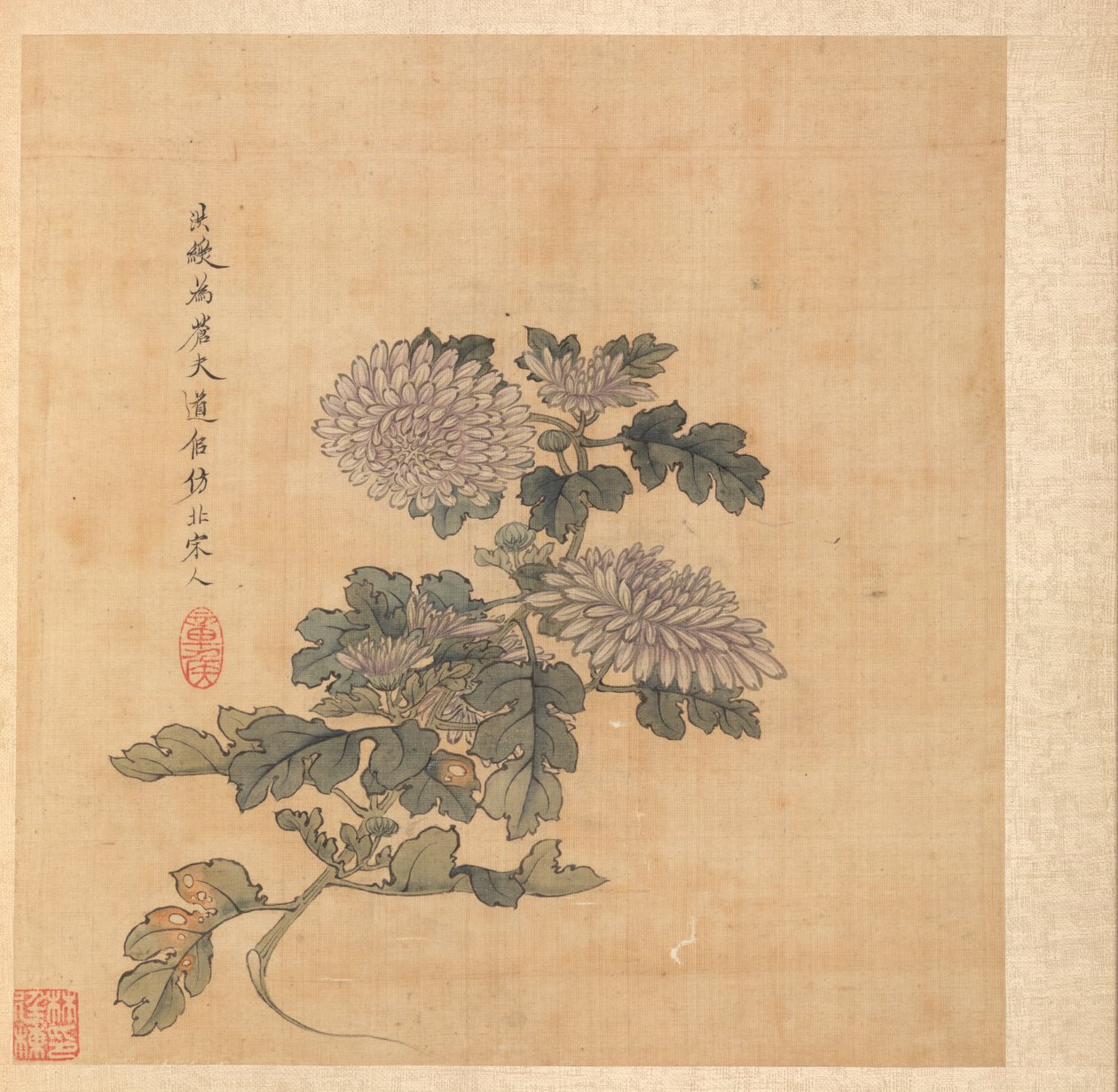 Obrazy podle starých mistrů: Chryzantéma, 1598-1652. od Chen Hongshou