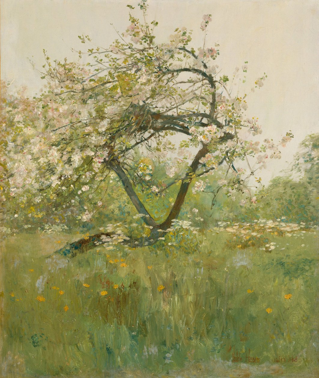 Peach Blossoms, Villiers-le-Bel od Childe Frederick Hassam