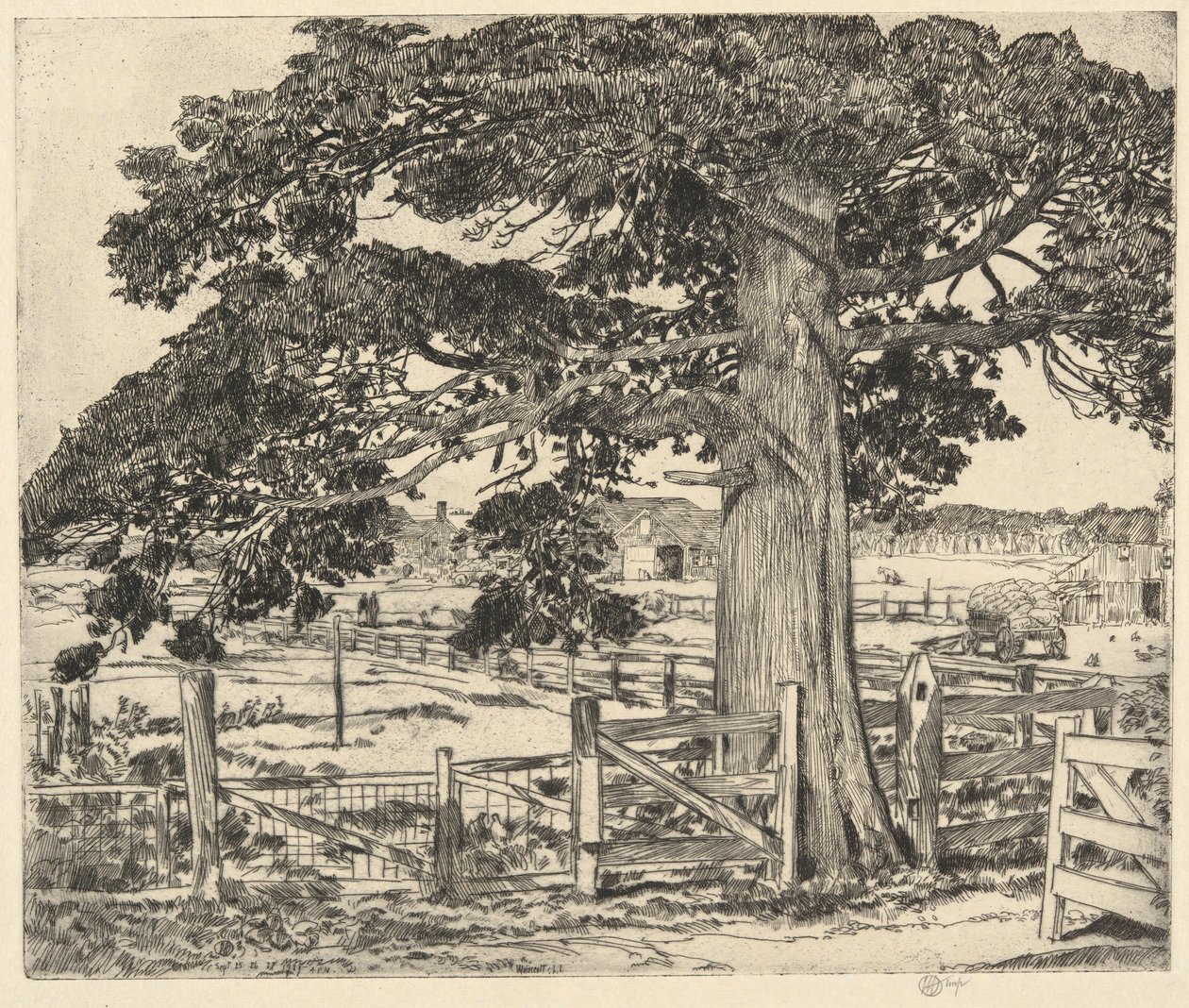 Velký cedr, Wainscott, L.I., 1929 od Childe Hassam