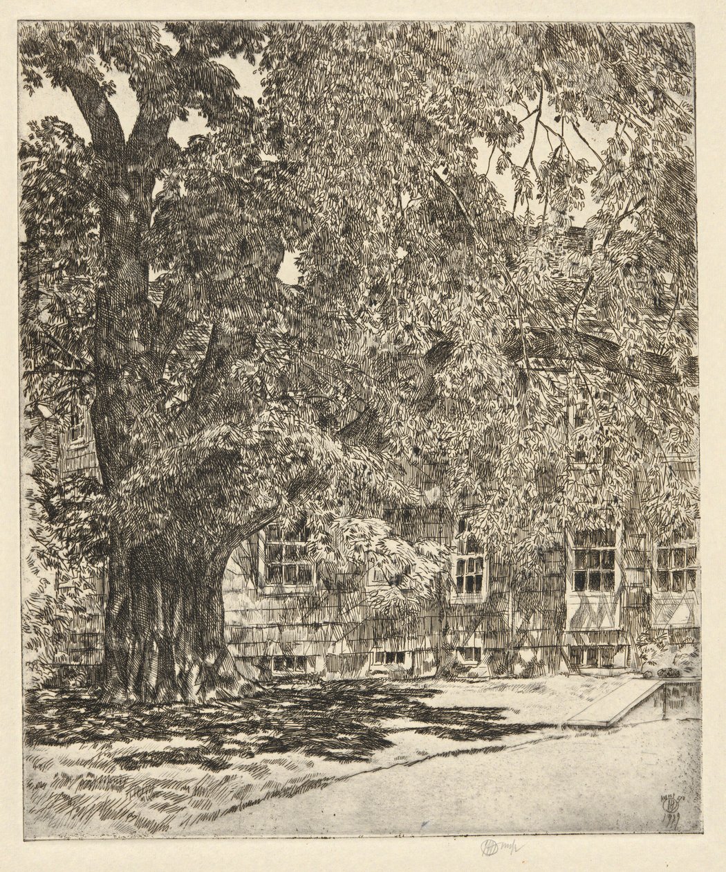 Obří jilm, 1929 od Childe Hassam