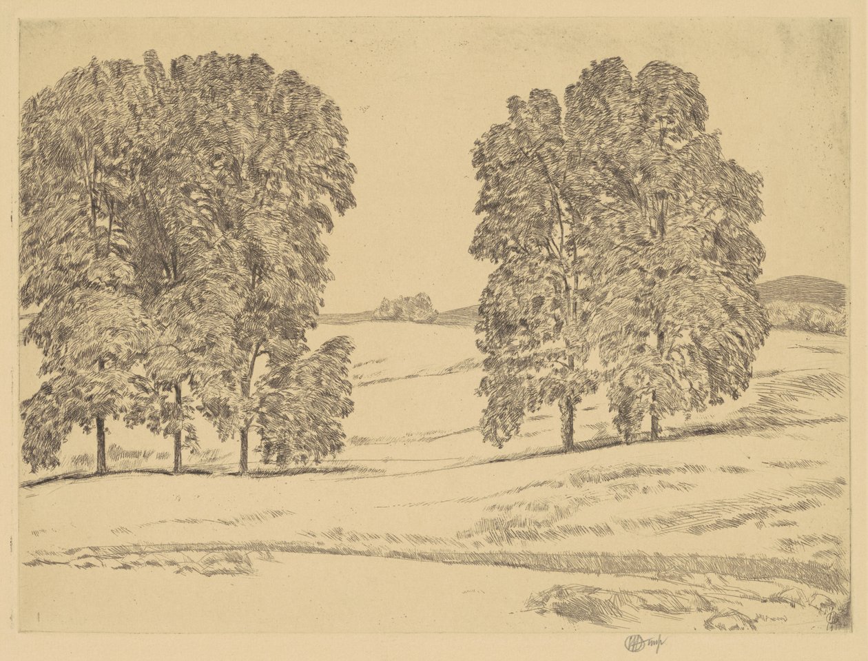 Hickorie v Hayfieldu od Childe Hassam