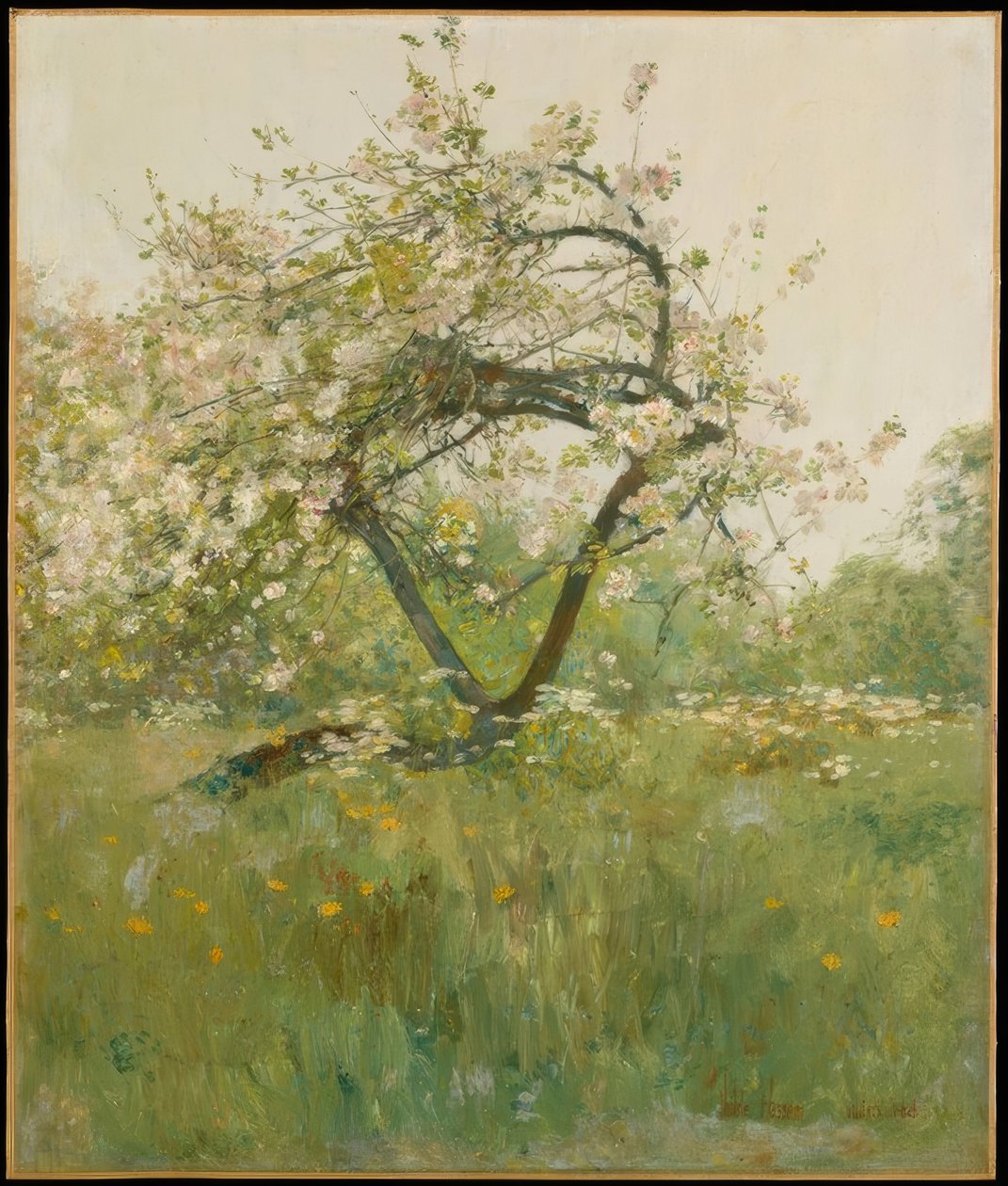 Broskvový květ Villiers-le-Bel od Childe Hassam