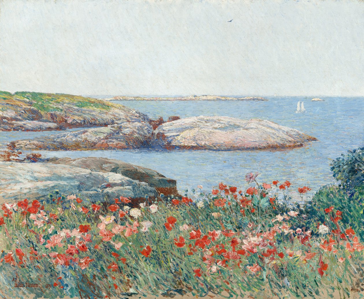 Poppies, Isles of Shoals od Childe Hassam