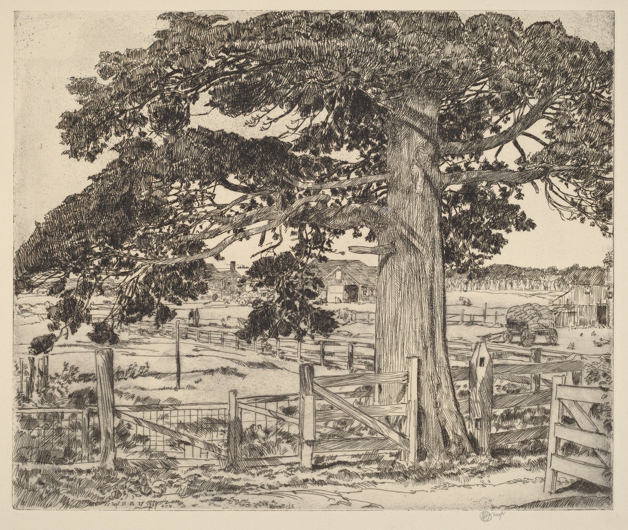 Velký cedr od Childe Hassam