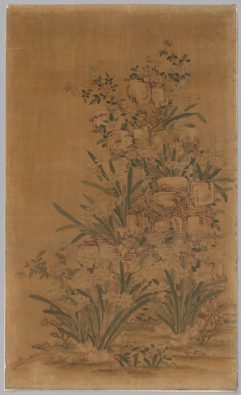 Panel Kesi: Skály a Narcis od China, Qing dynasty