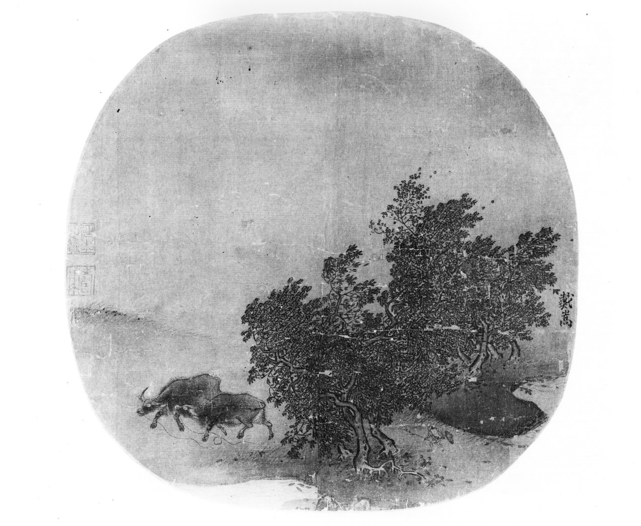 Krajina s vodním buvolem, dynastie Song (960-1279) (malované hedvábí) od Chinese School