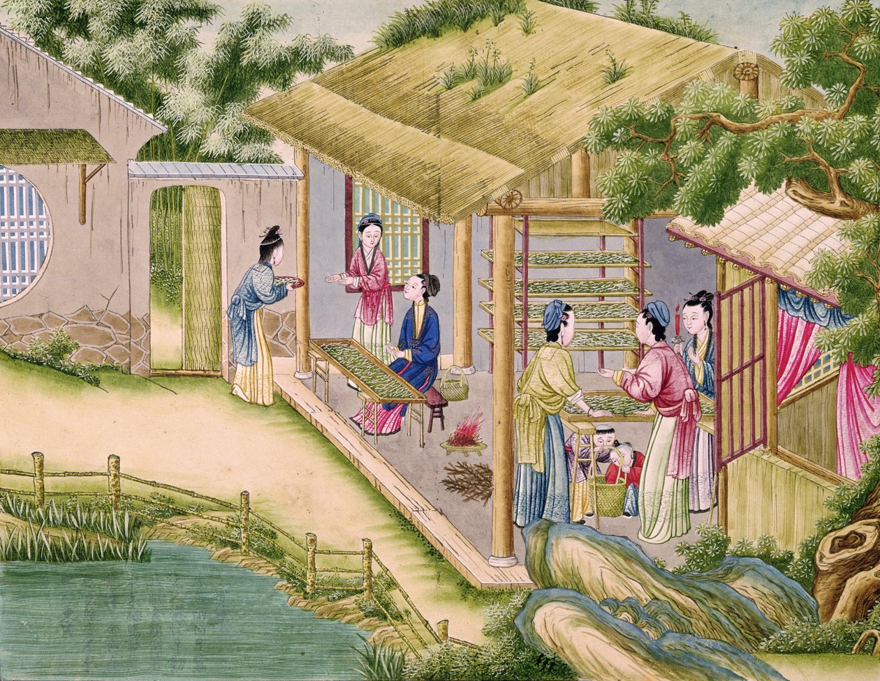 Ms 202 fol.2 Učení o bourcích, z knihy o hedvábnictví od Chinese School