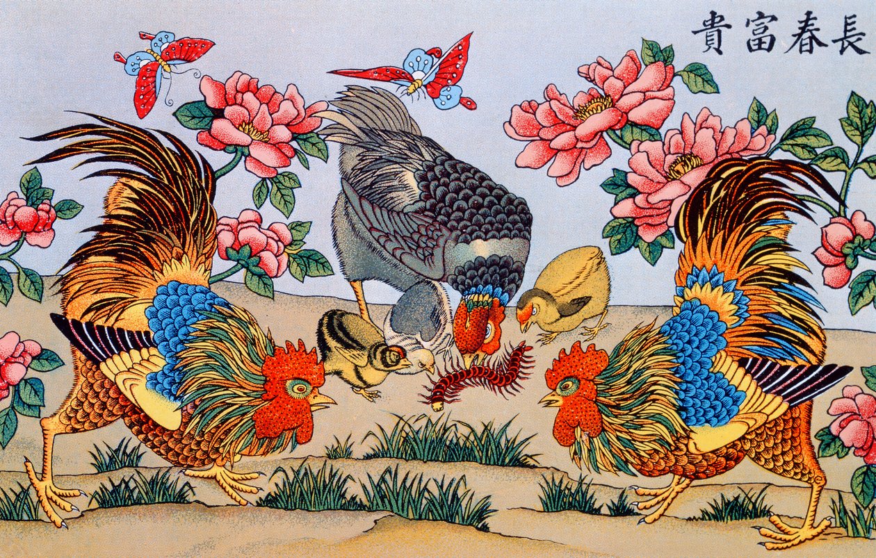 Kohout zabíjející mnohonožku, ilustrace z Výzkumu pověr v Číně, publikované v Šanghaji od Imrimerie de la Mission Catholique, 1929 od Chinese School