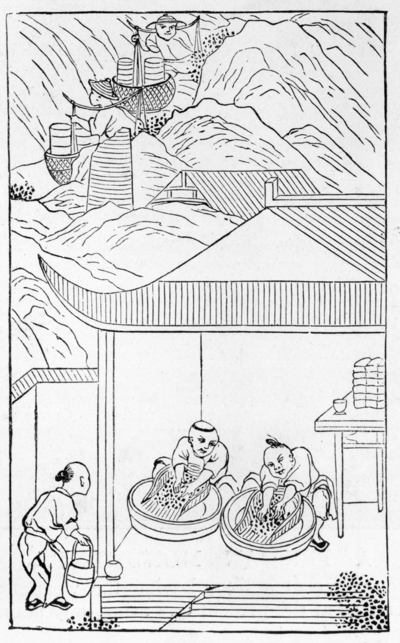 Sběr a praní modrého smaltu pro barvení, ze série ilustrací o výrobě porcelánu (viz 384116 a 384117 pro celou sérii). od Chinese School