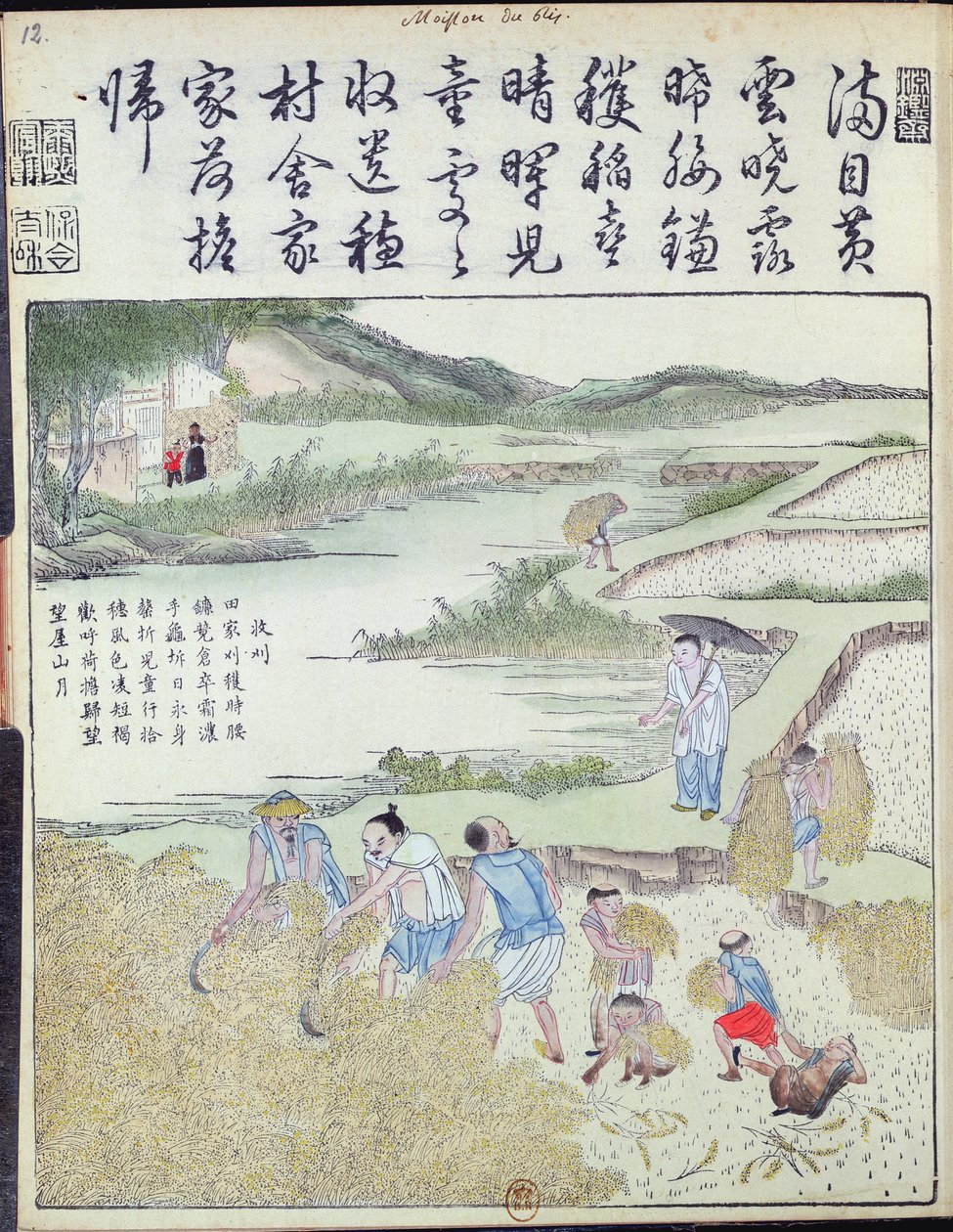 Harvest, The Rice Culture in China (barevný dřevořez) od Chinese School