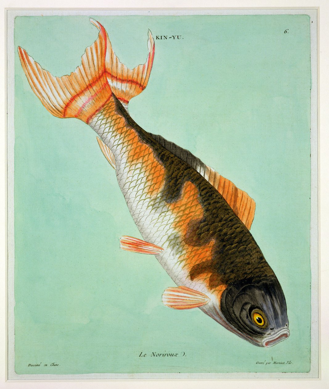Le Noriroux, vyrytý Francois Nicholas Martinet (1731-str. 1796) (tisk) od Chinese School