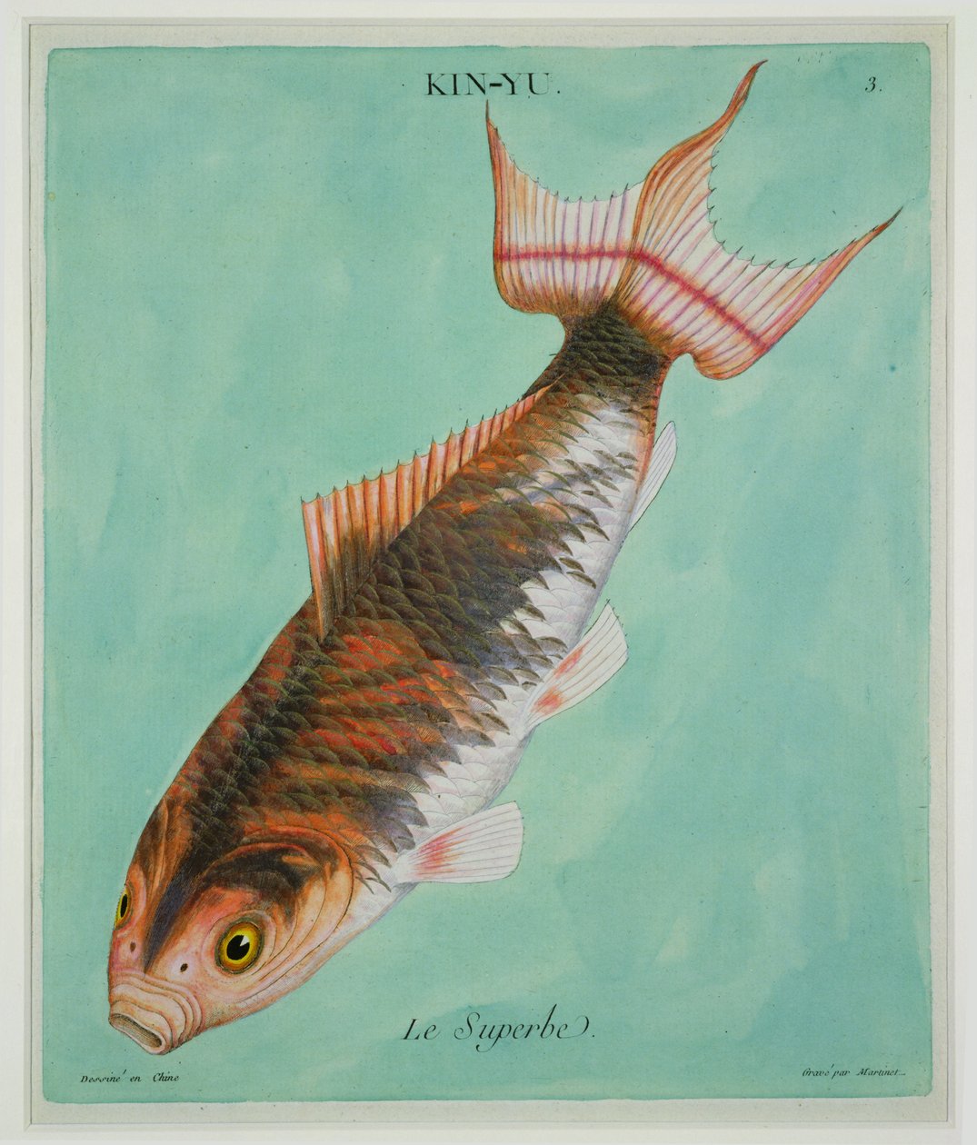 Le Superbe, vyrytý Francois Nicholas Martinet (1731-str. 1796) (tisk) od Chinese School
