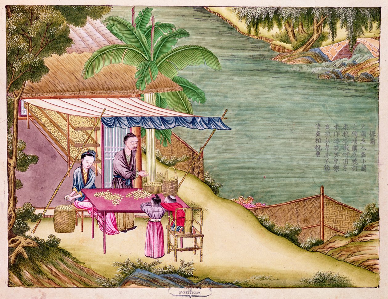 Ms 202 f.6 Sorting the Cocoons, z knihy o hedvábném průmyslu (wc na papíře) od Chinese School