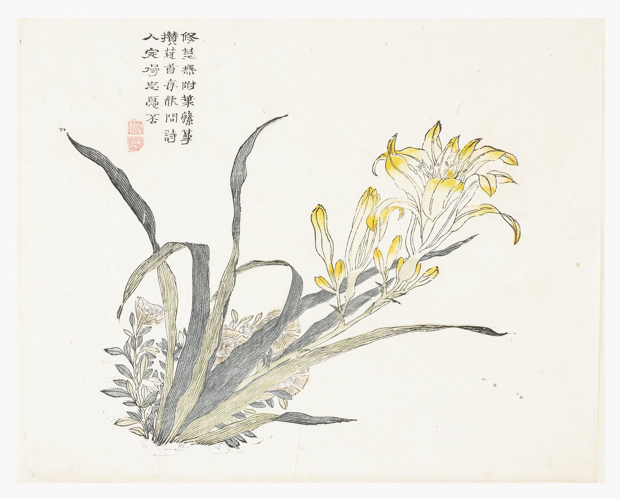 Zahrada hořčičných semen od Chinese School