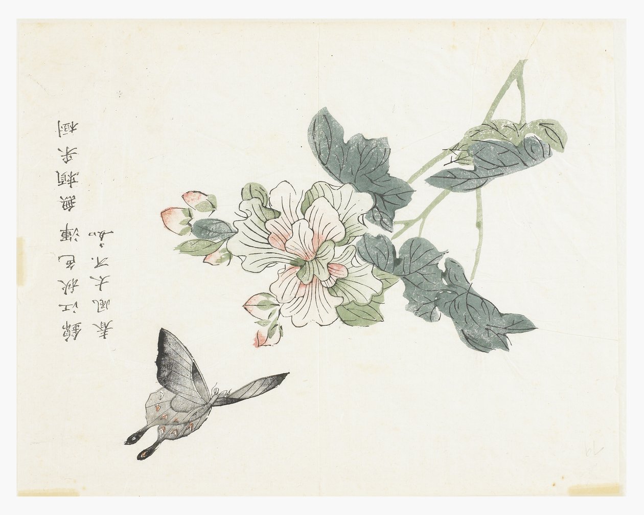 Zahrada hořčičných semen od Chinese School