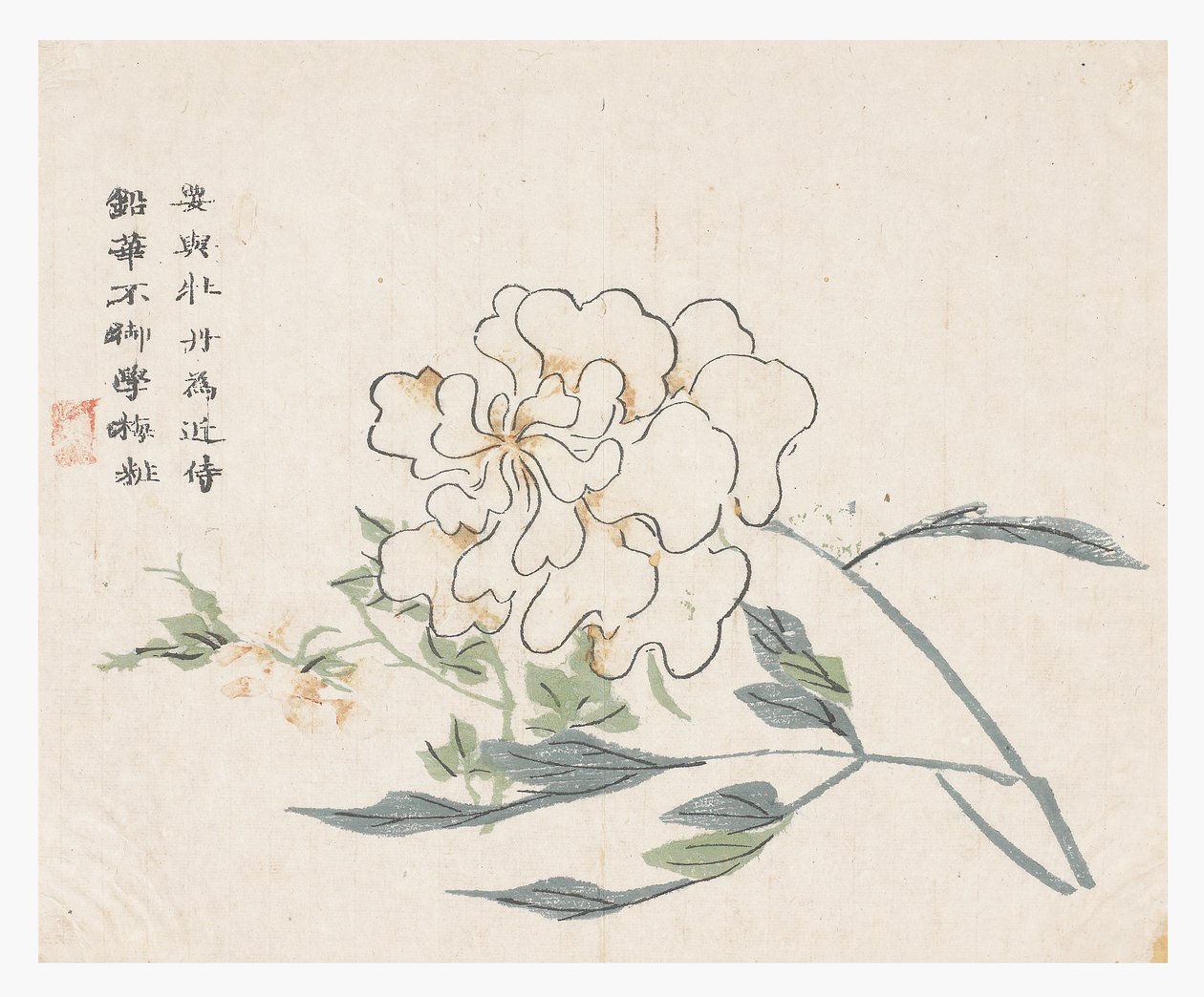 Zahrada hořčičných semen od Chinese School