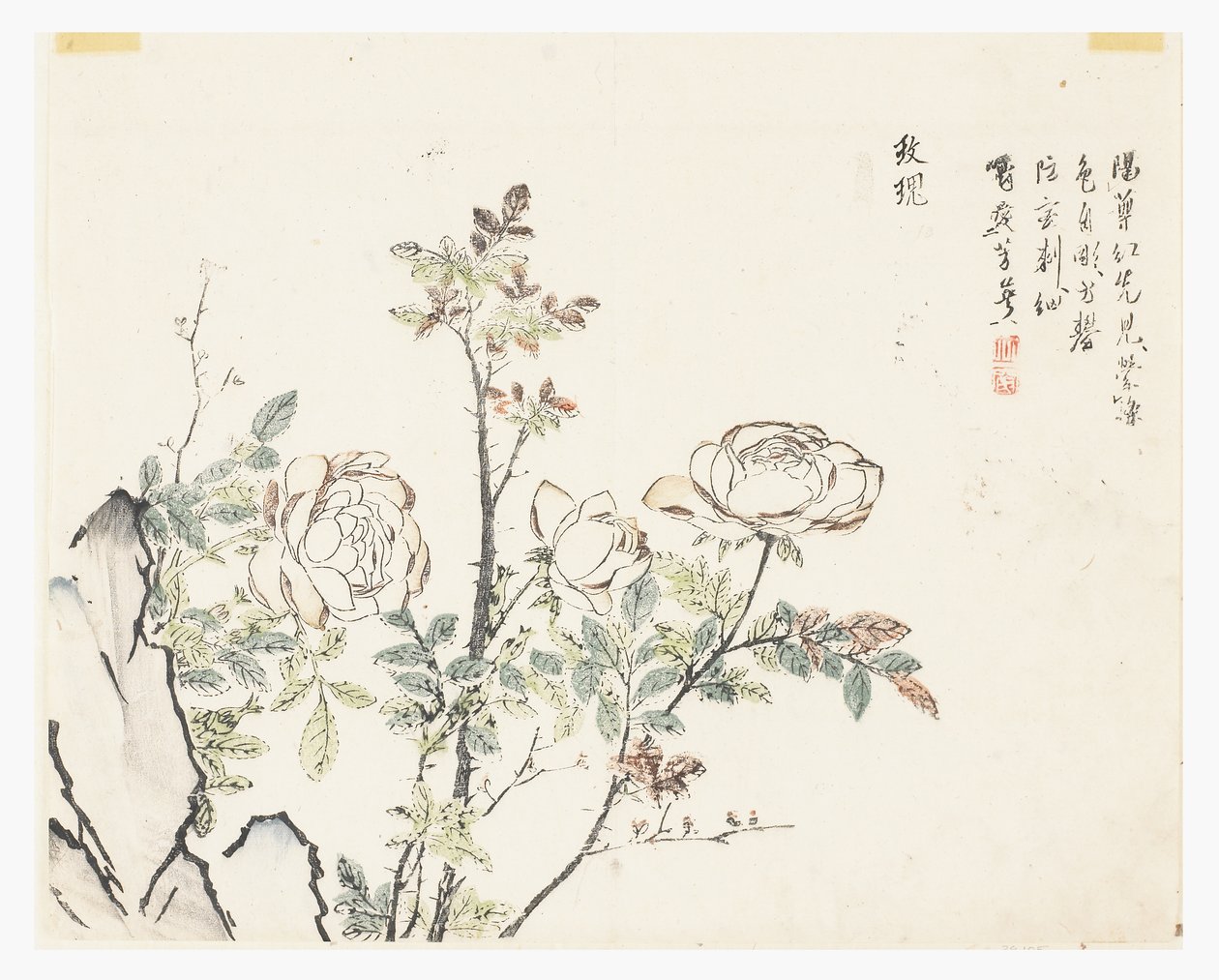 Zahrada hořčičných semen od Chinese School