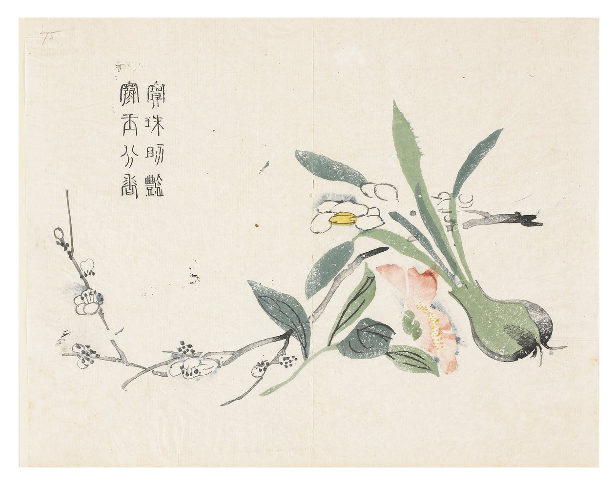 Zahrada hořčičných semen od Chinese School