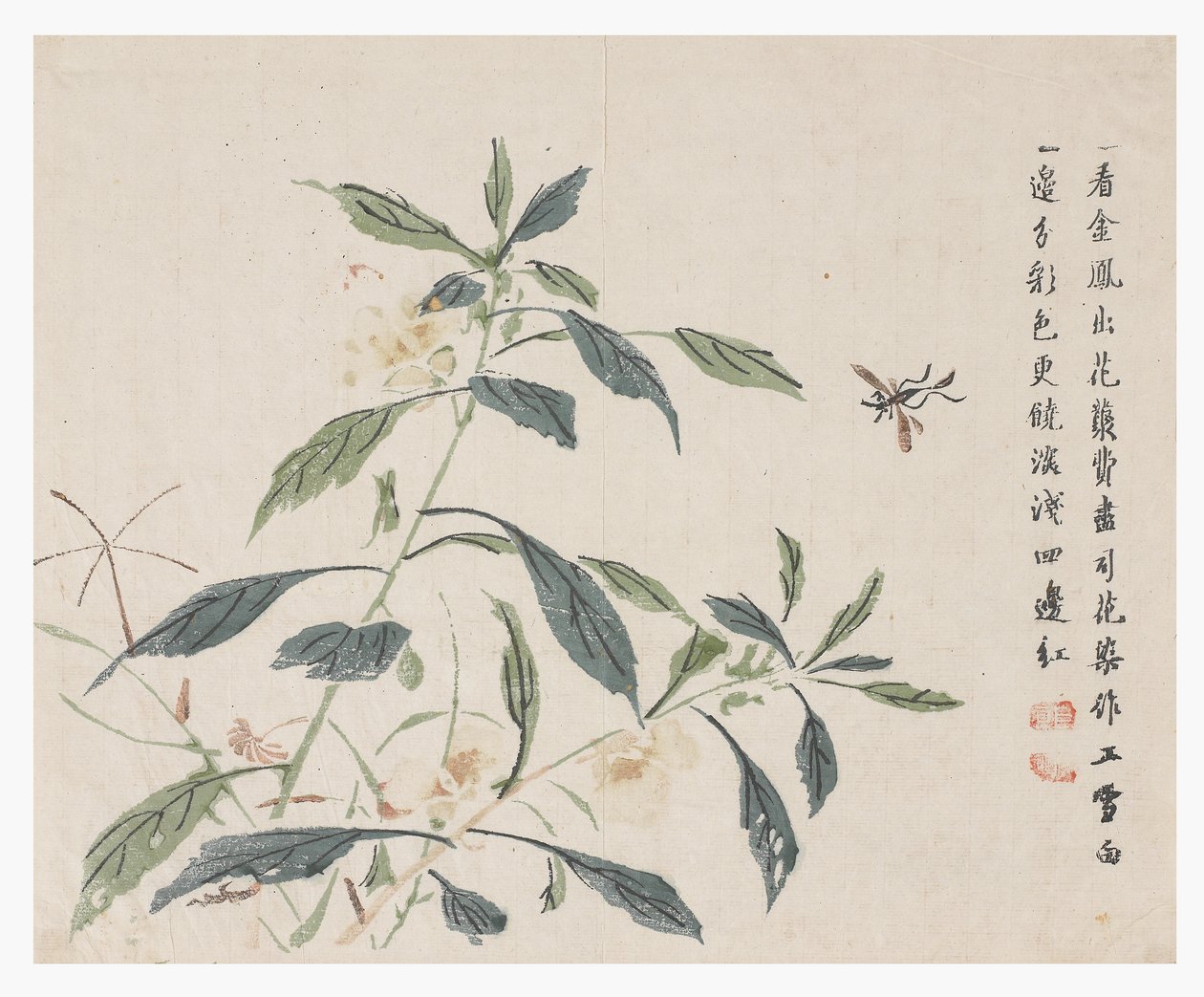 Zahrada hořčičných semen od Chinese School