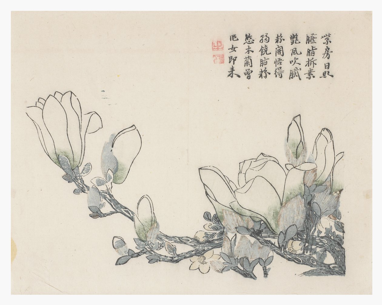 Zahrada hořčičných semen od Chinese School