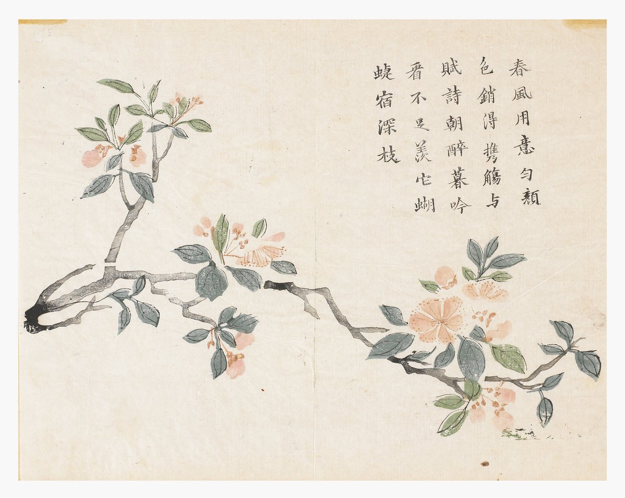 Zahrada hořčičných semen od Chinese School