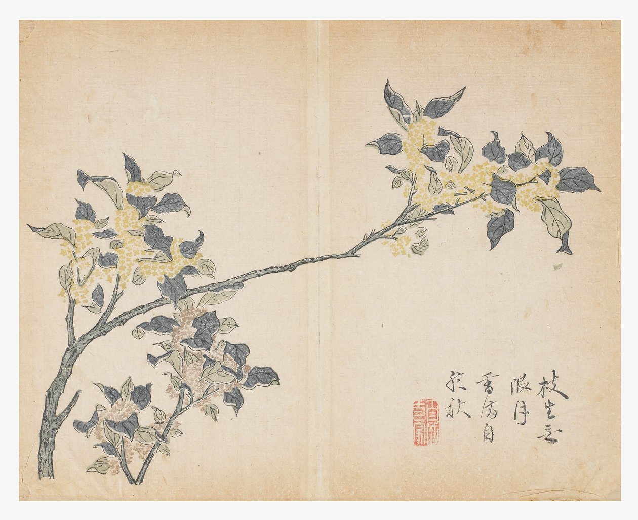 Zahrada hořčičných semen od Chinese School