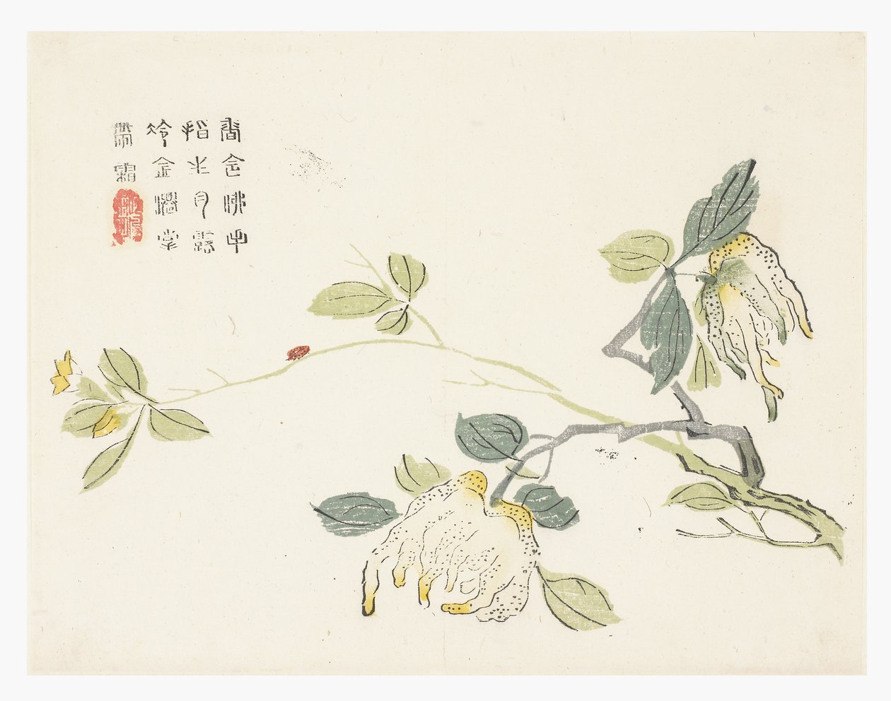 Zahrada hořčičných semen od Chinese School