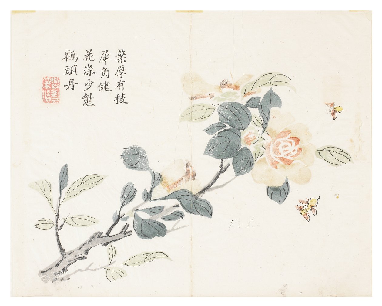 Zahrada hořčičných semen od Chinese School