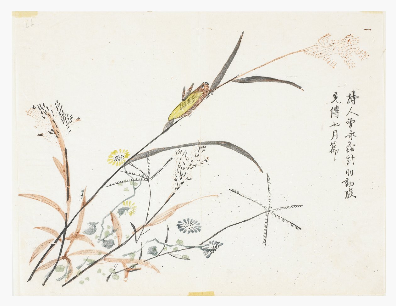 Zahrada hořčičných semen od Chinese School
