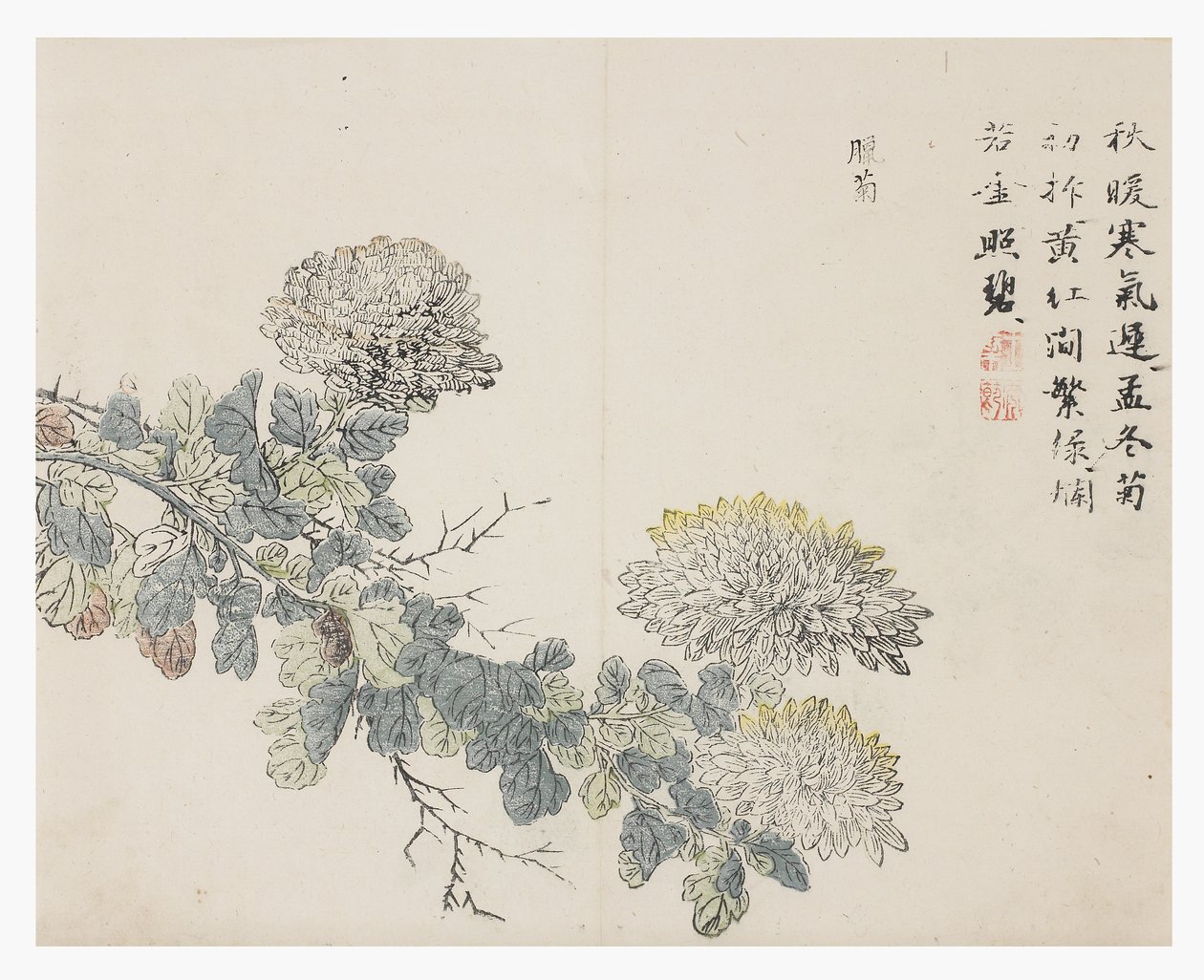 Zahrada hořčičných semen od Chinese School