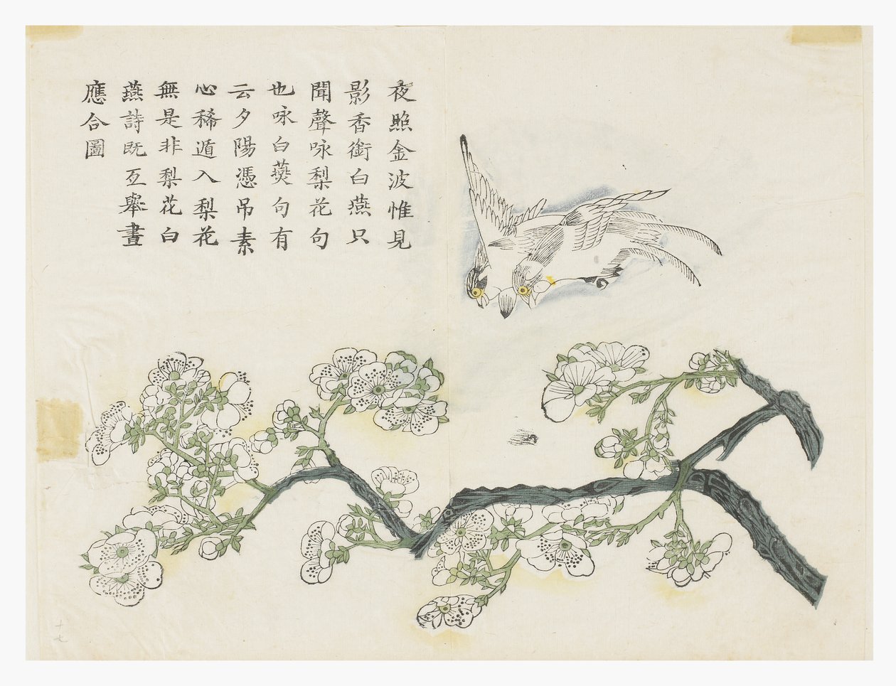 Zahrada hořčičných semen od Chinese School