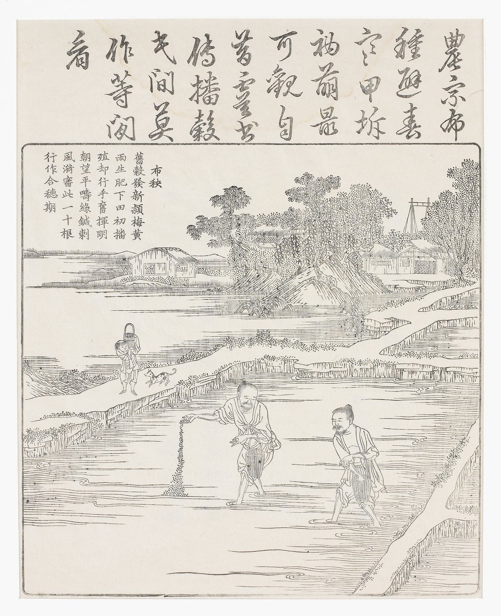 Výsev rýže do záhonu., 18. stol od Chinese School