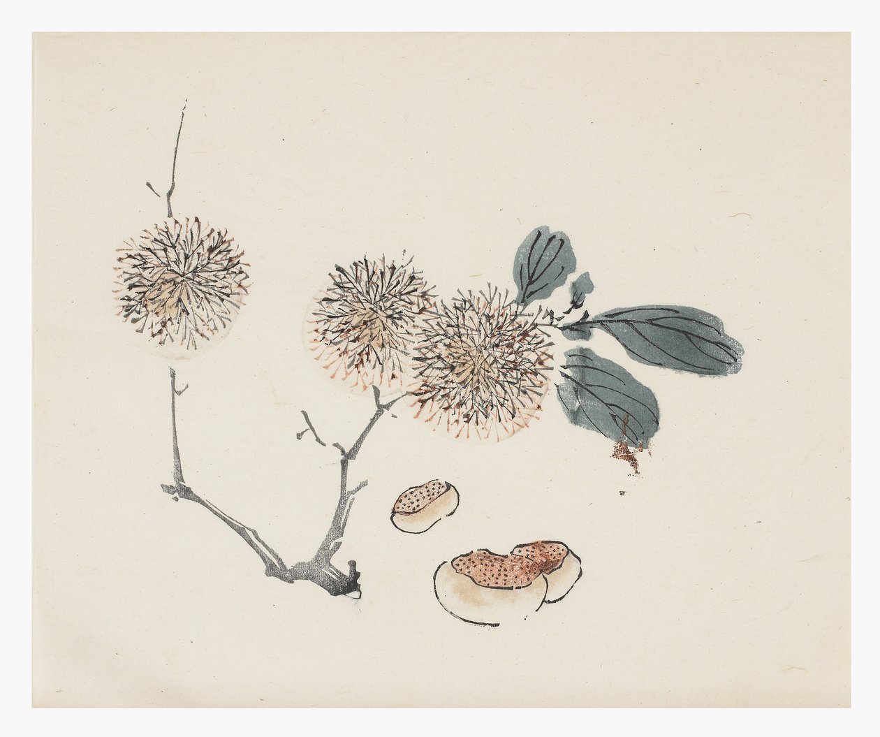 Řada Deset bambusů, 18. století od Chinese School
