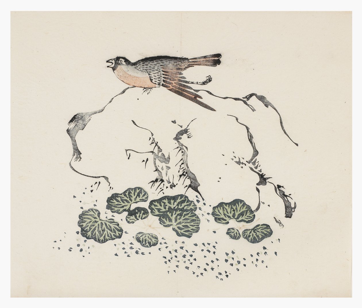 Řada Deset bambusů, 18. století od Chinese School