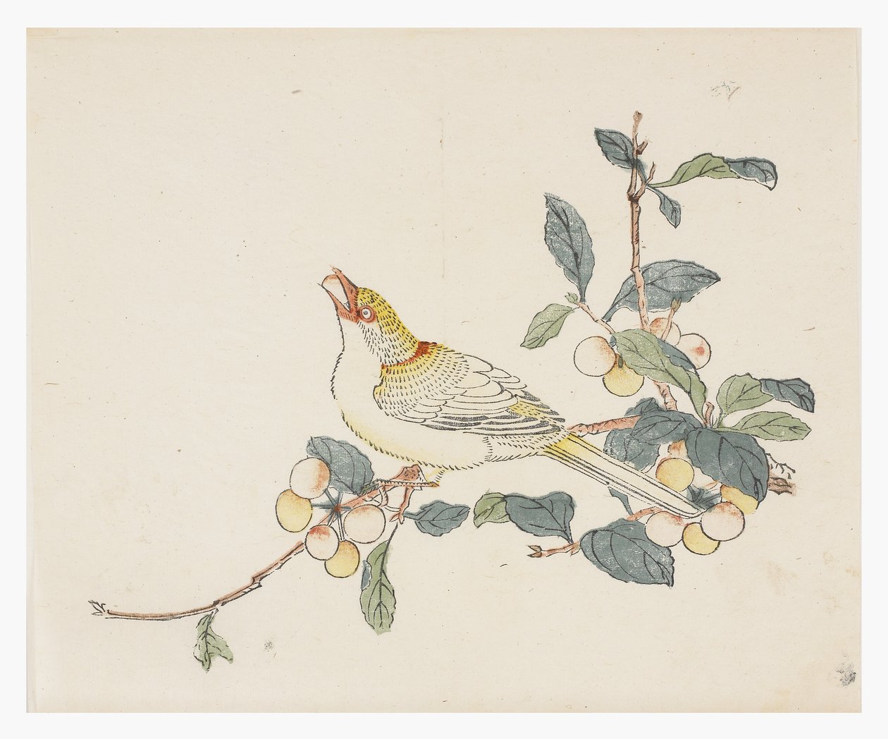 Řada Deset bambusů, 18. století od Chinese School