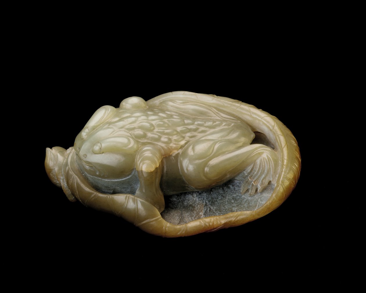 Ropucha na lotosovém listu, 1500-1700 od Chinese School