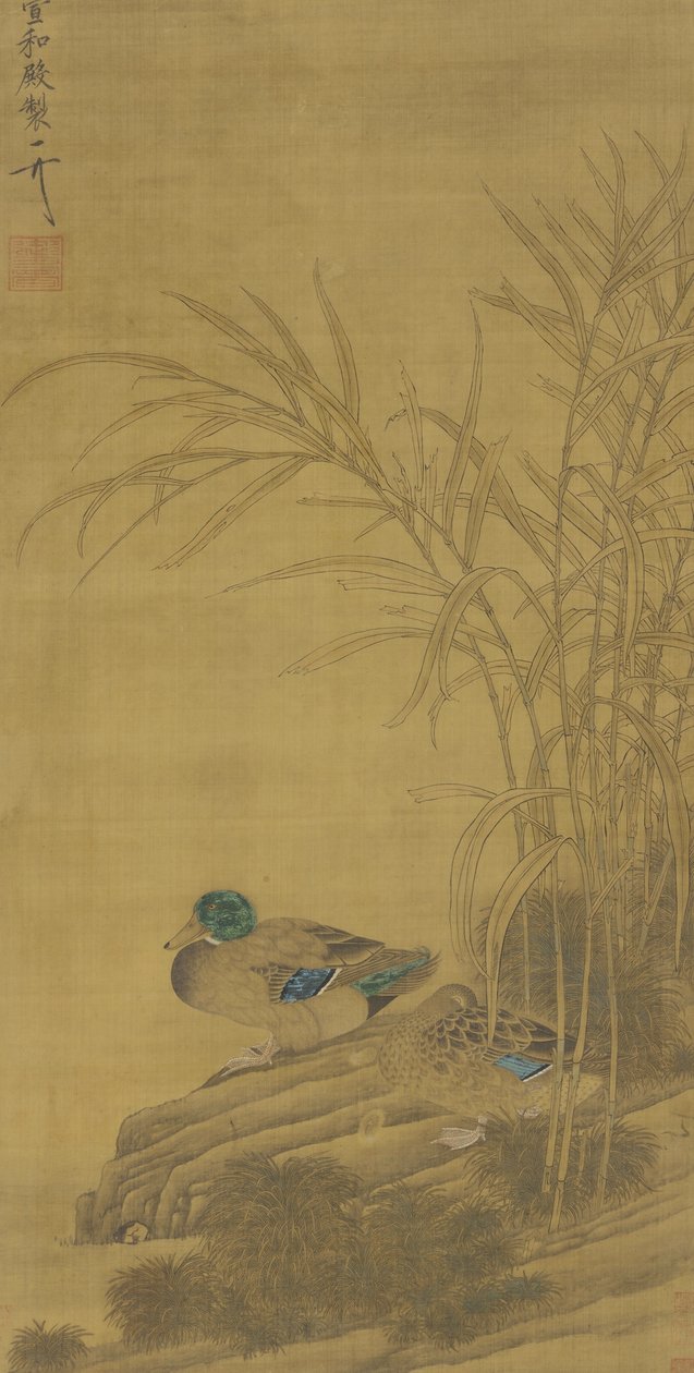 Dvě kachny mezi rákosím na okraji vody, dynastie Ming nebo Qing, 15.–18. od Chinese School