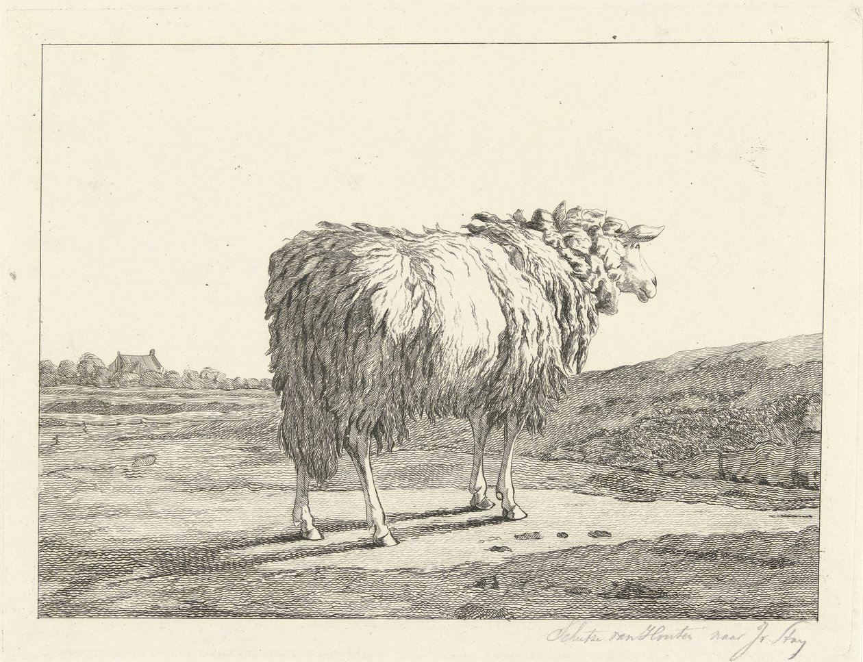 Ovce v krajině od Christiaan Godfried Schutze van Houten