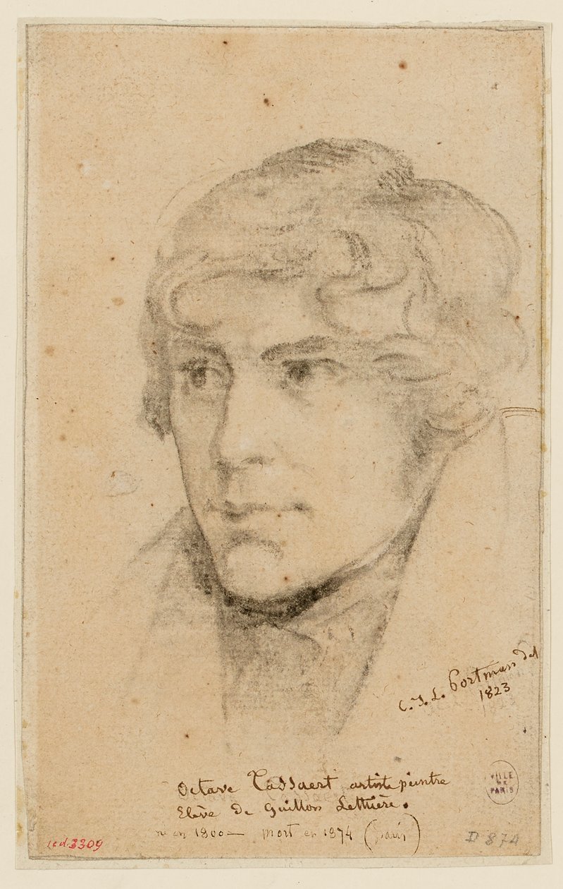 Portrét Octava Tassaerta od Christiaan Julius Lodewijk Portman