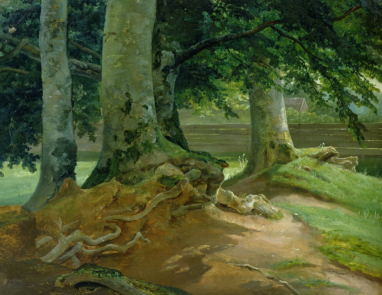 Beech Trees in Frederiksdal u Kodaně, 1828 (olej na papíře nalepený na kartě) od Christian Ernst Bernhard Morgenstern