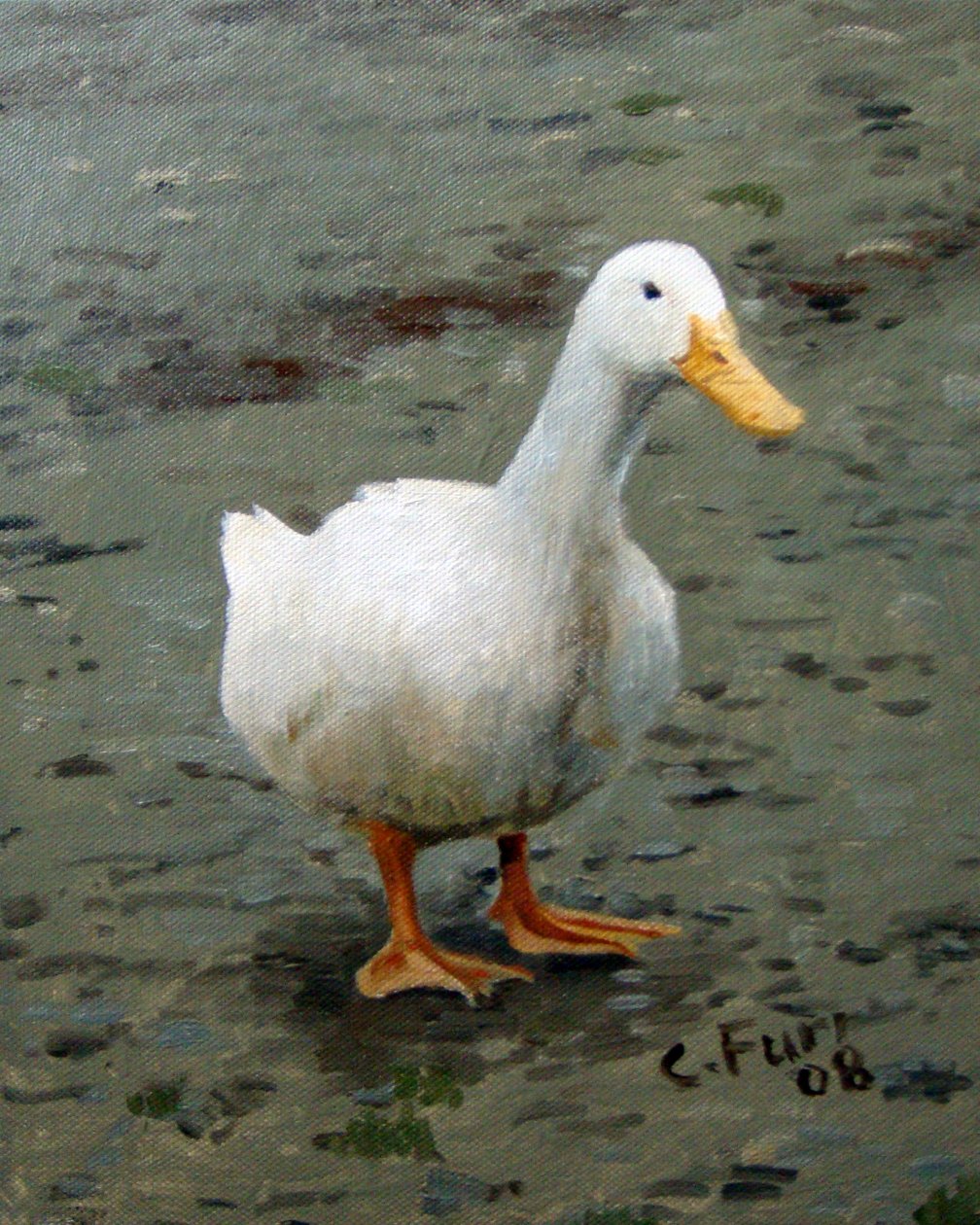 Husa, 2006 (olej na plátně) od Christian Furr