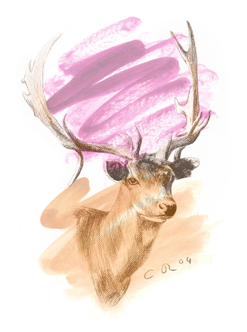 Jelení hlava - Cerise Sienna, 2004 (olej a kontura na papíře) od Christian Furr